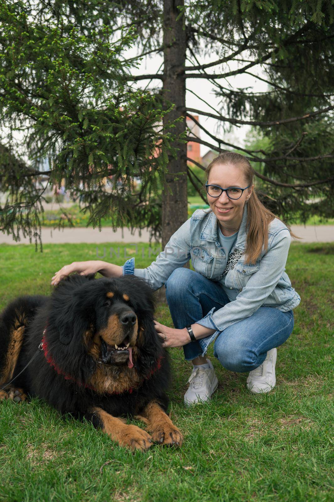 Happy woman walking with tibetan mastiff in park