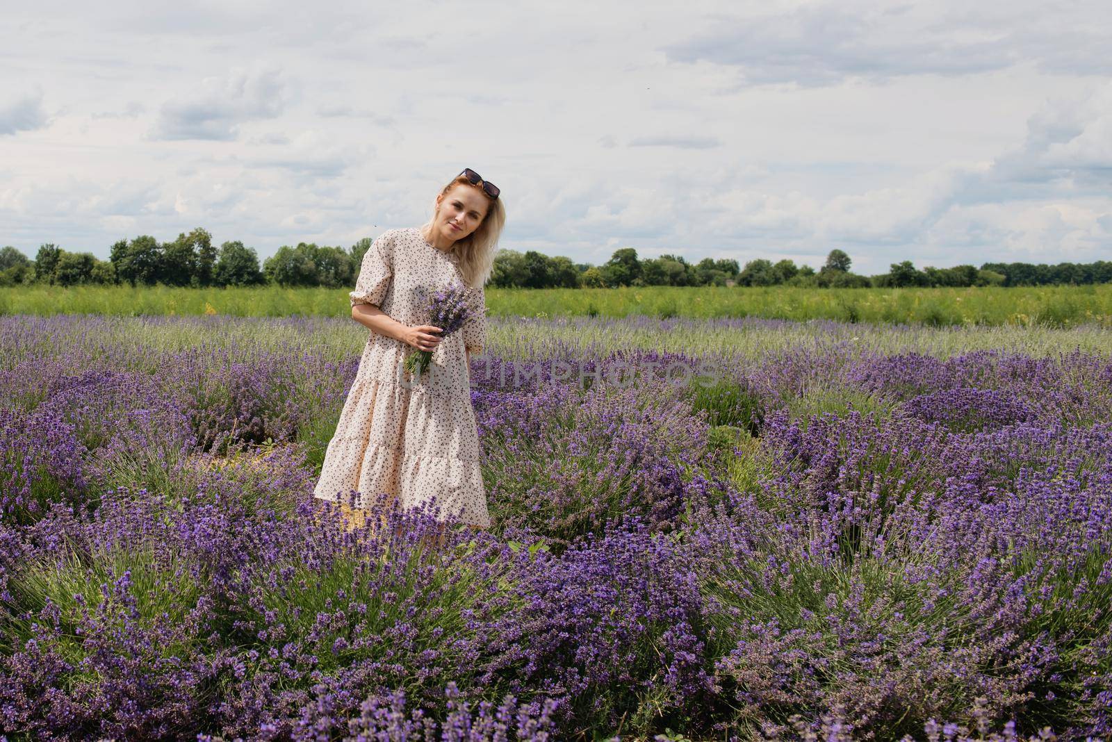 Young woman in a lavender field holding a bouquet of lavender a sunny day. by leonik