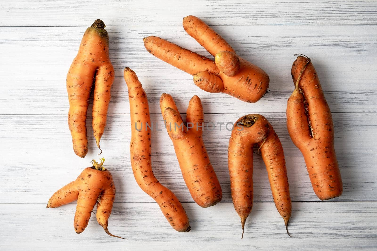 Several ripe orange ugly carrots lie on a light wooden surface. Selective focus.