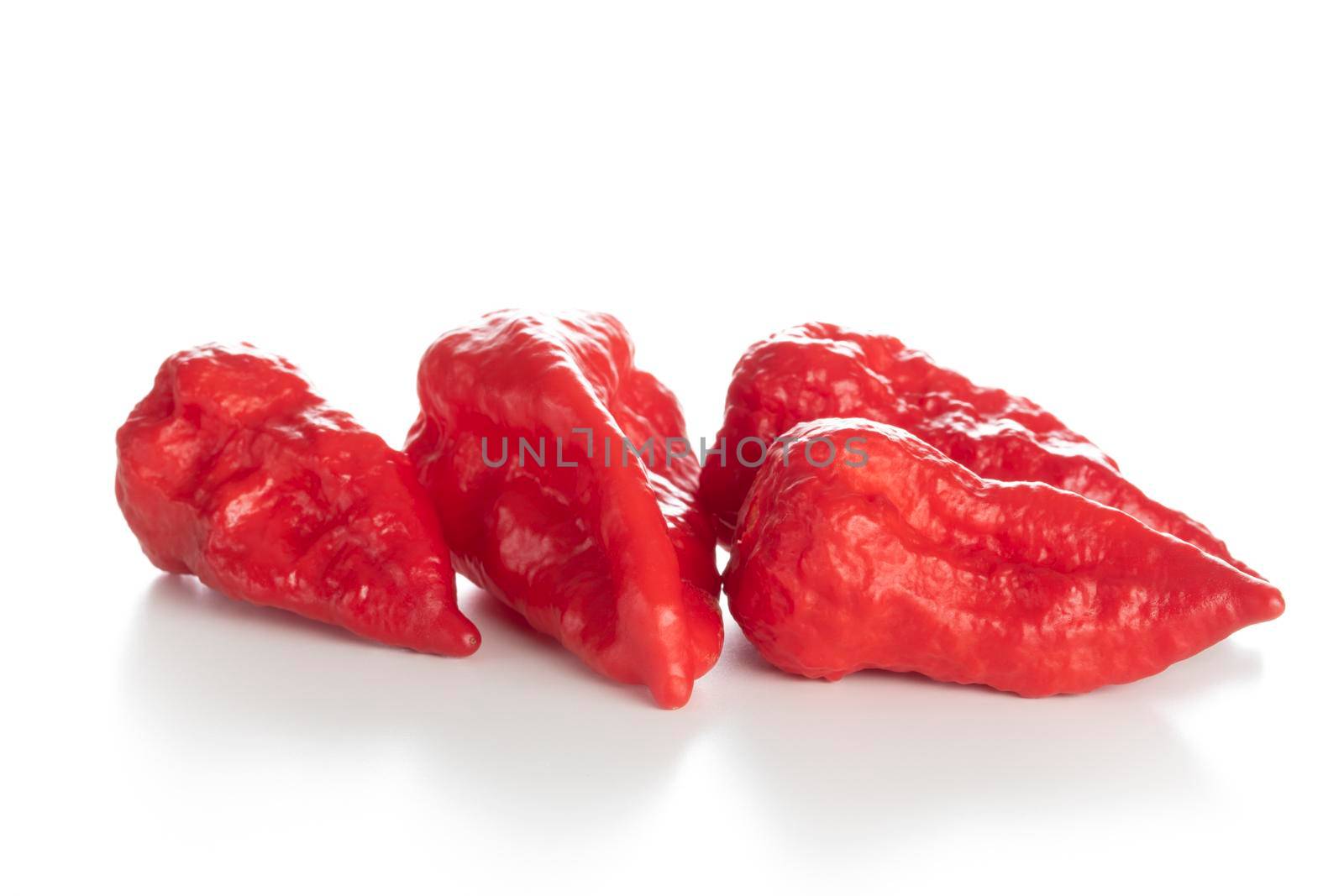 Bhut Jolokia pepper isolated on a white background