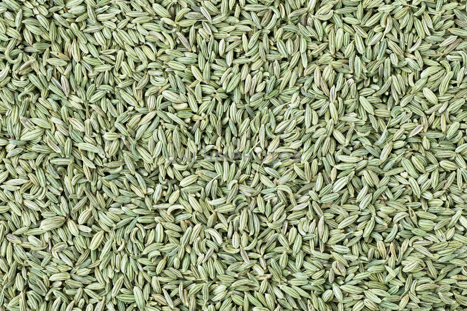 Fennel seeds filling full frame for food background or texture.