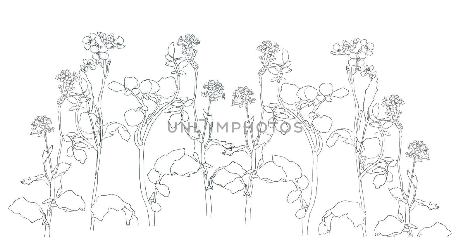 Botanical Modern Single Line Art, Aesthetic Contour. Perfect for Home Decor, Wall Art Posters, or t-shirt Print, Mobile Case. Continuous Line Drawing of Flowers.