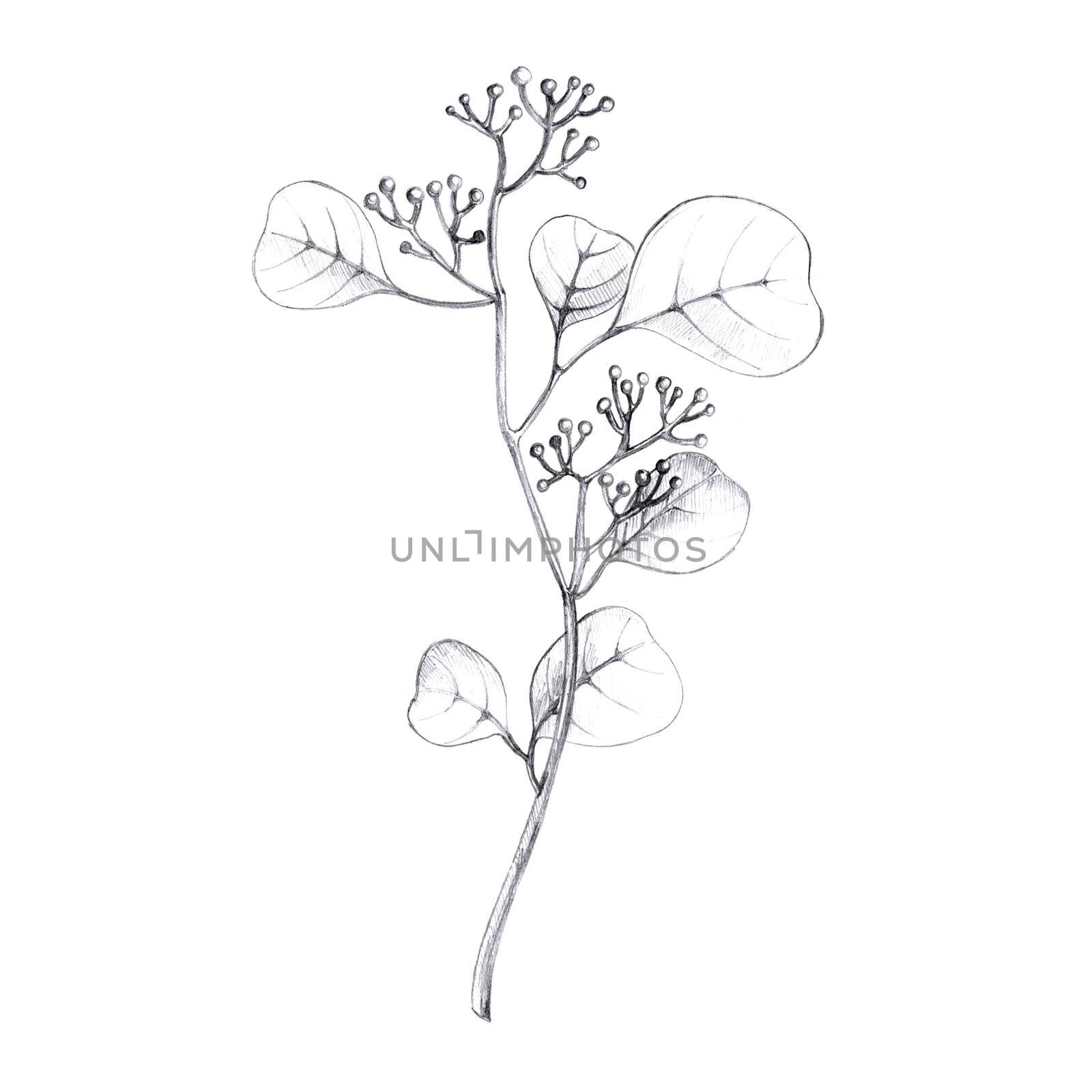 Sketch a leaf branch manually on an isolated background by fireFLYart