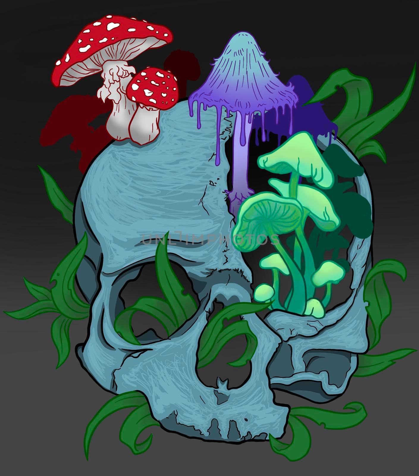 art skull with bright unusual mushrooms in color on a gray background. High quality illustration