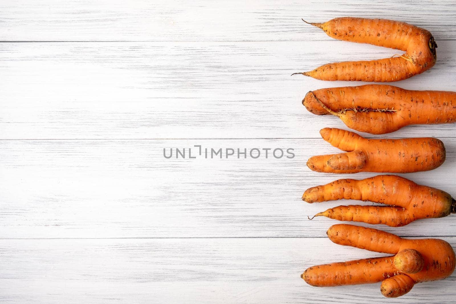 Top view close-up of several ripe orange ugly carrots lie on a light wooden surface with copy space for text. Selective focus.