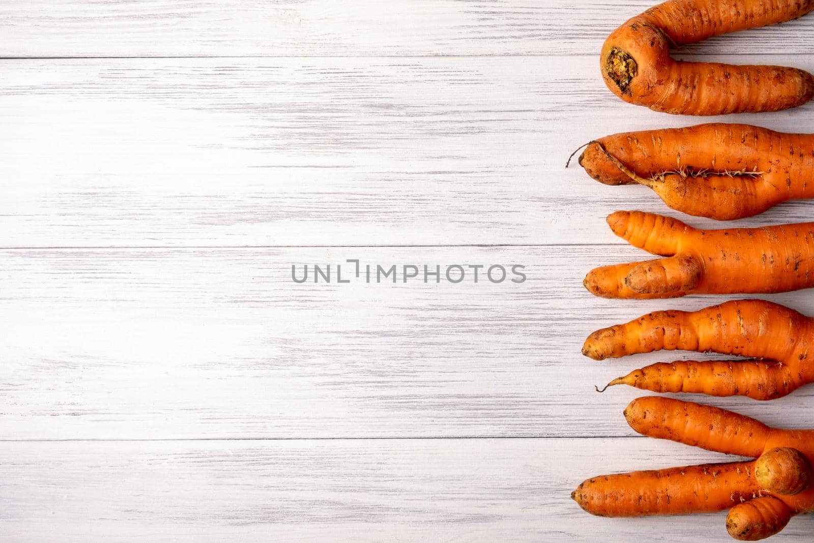 Top view close-up of several ripe orange ugly carrots lie on a light wooden surface with copy space for text. Selective focus.