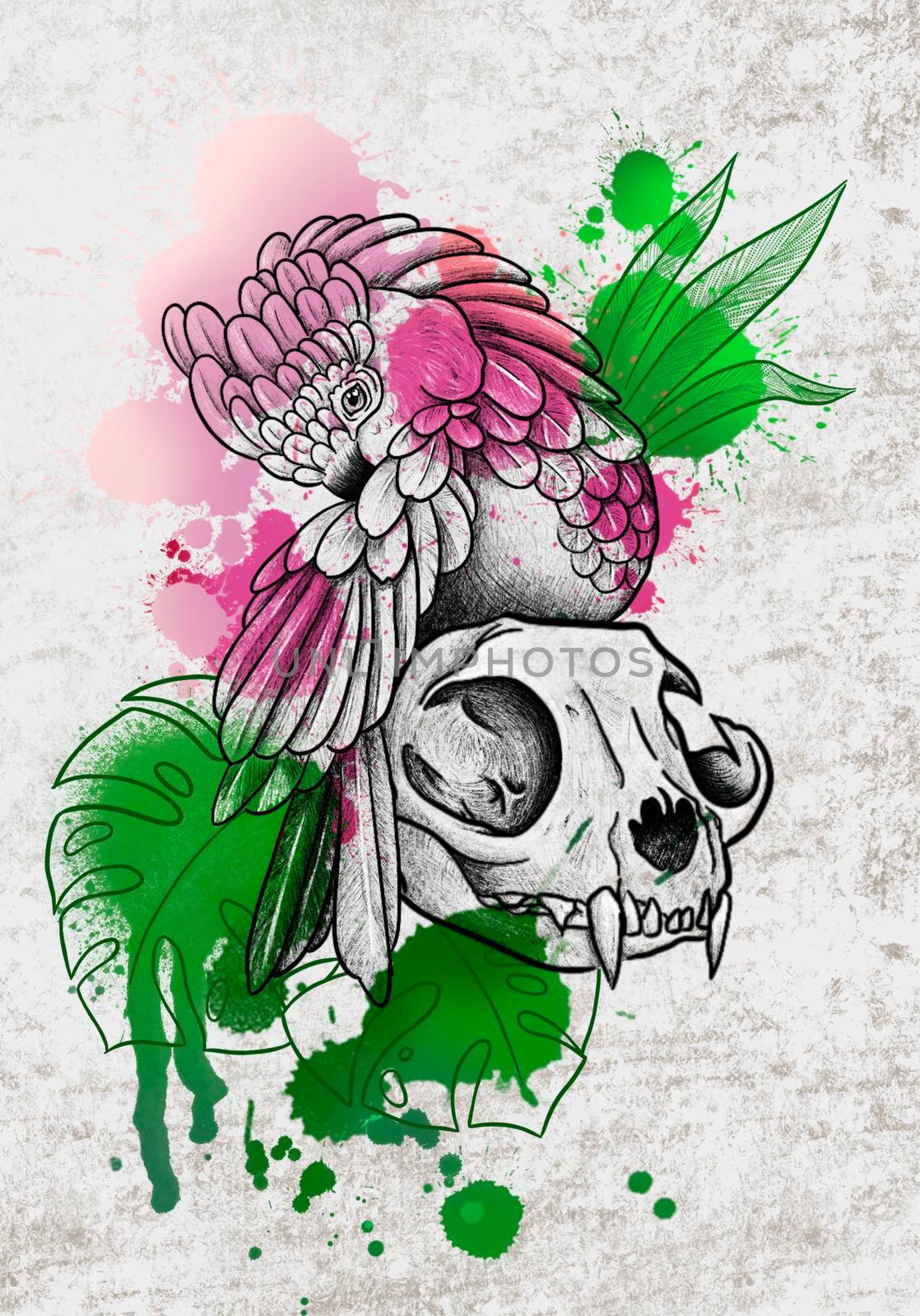 sketch bright parrot with a skull flowers blots splatter colors graphics line illustration