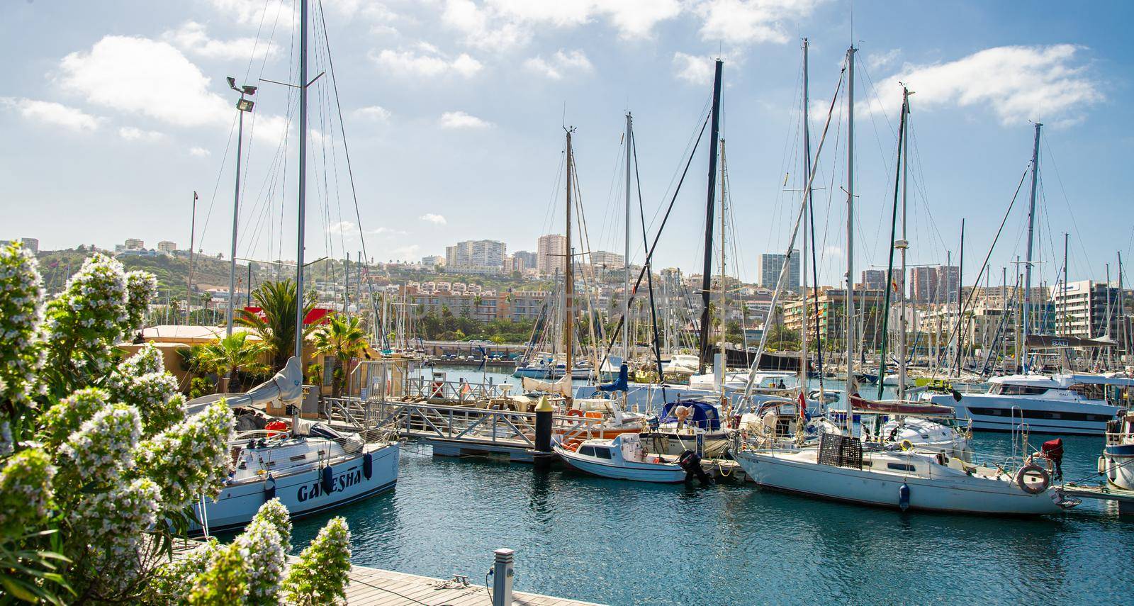 February 04 2022-Picture of Las palmas Canary Island port with particular ships for agreement