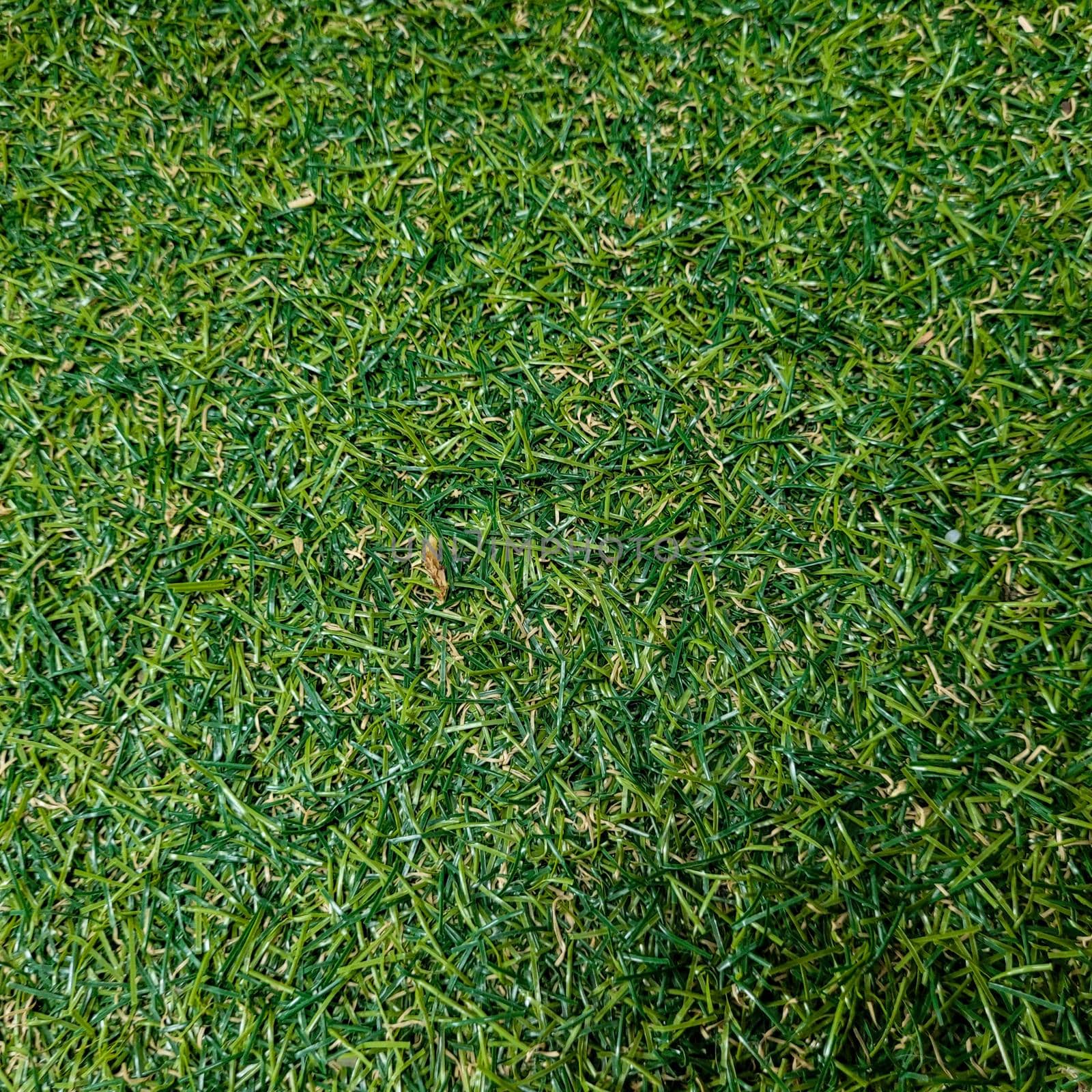 green lawn background with rustic texture of brazil image