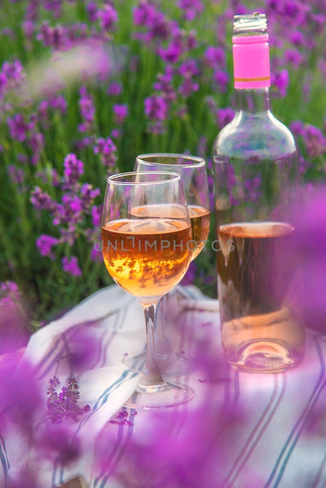 Wine in a lavender field. Selective focus. Food.