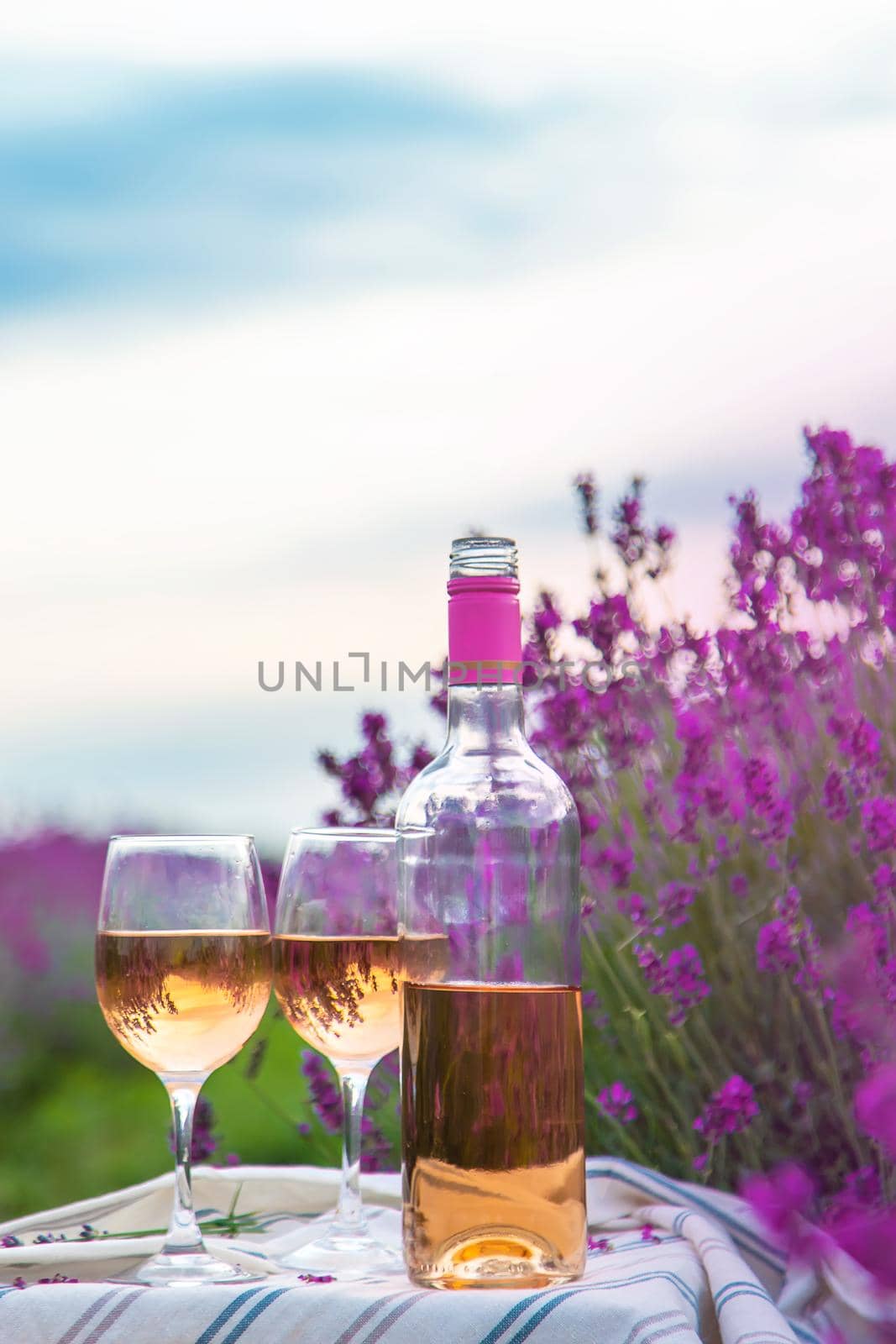 Wine in a lavender field. Selective focus. Food.
