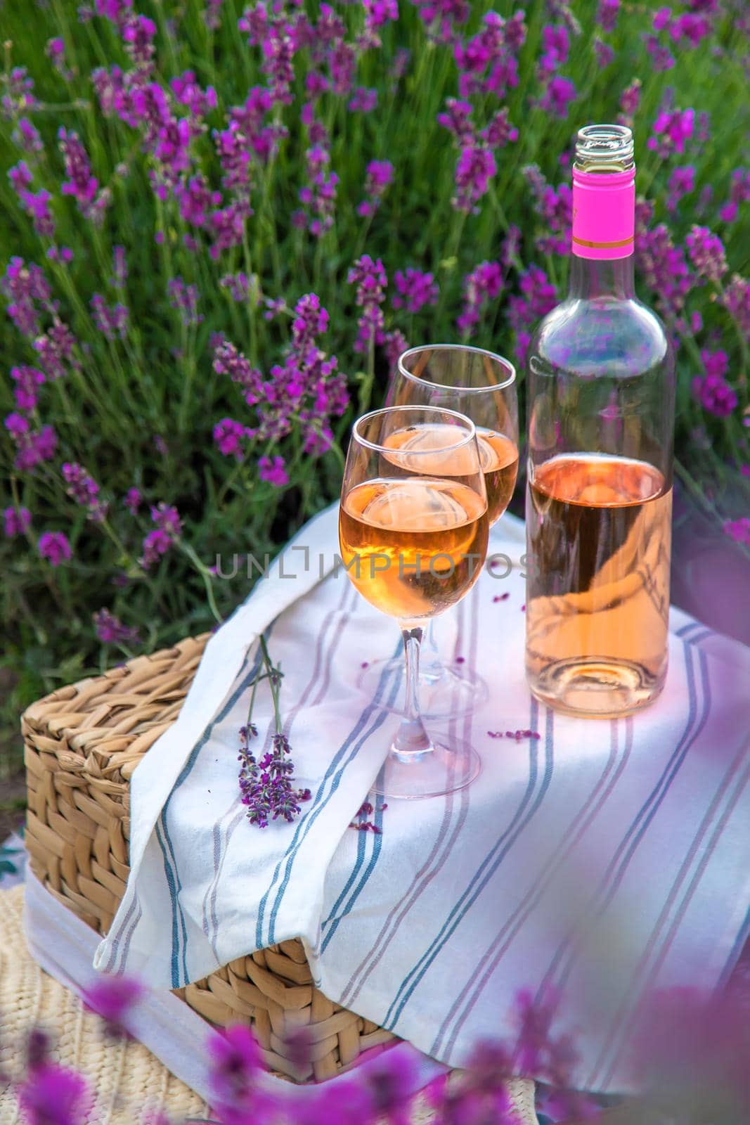 Wine in a lavender field. Selective focus. Food.