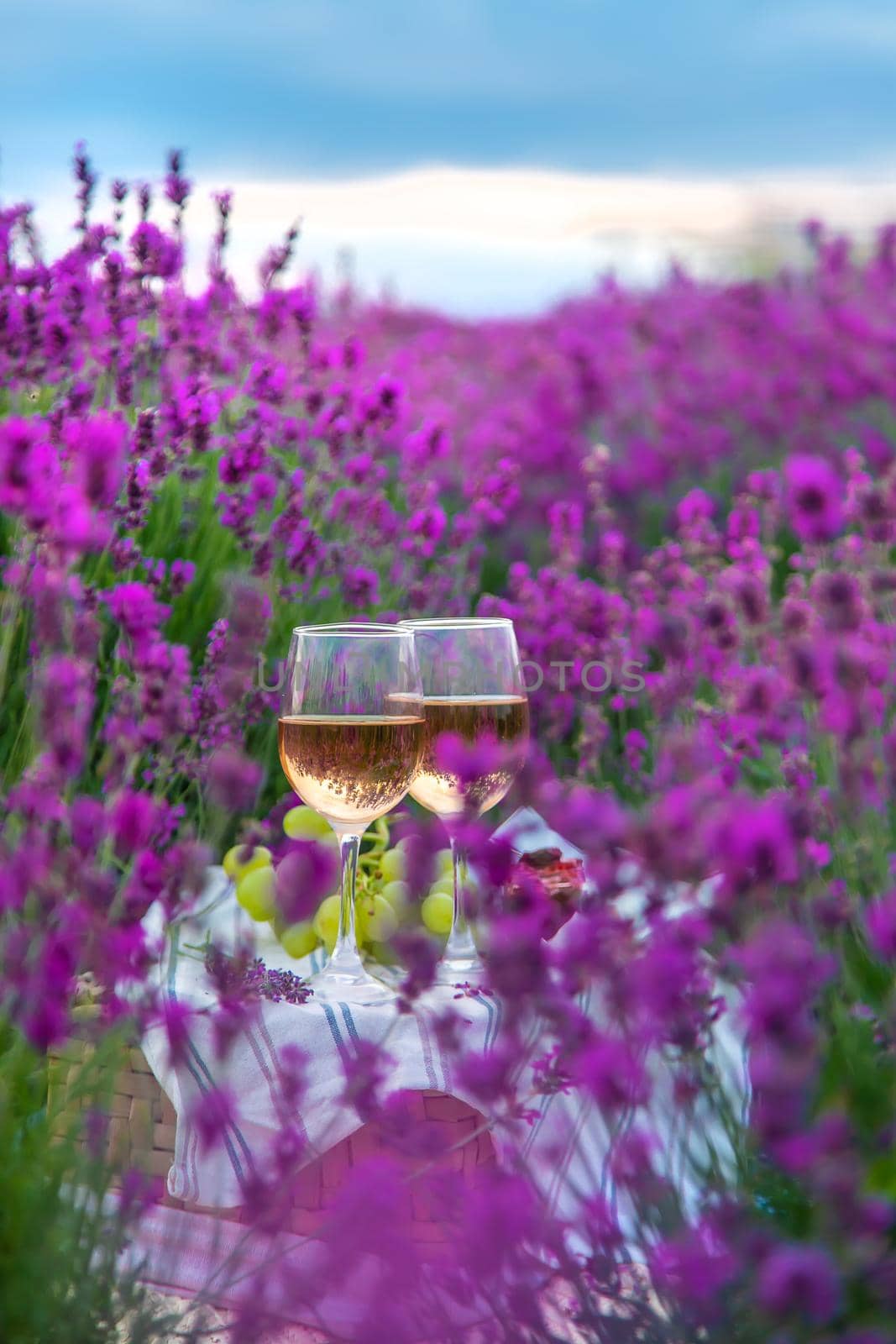 Wine in a lavender field. Selective focus. Food.