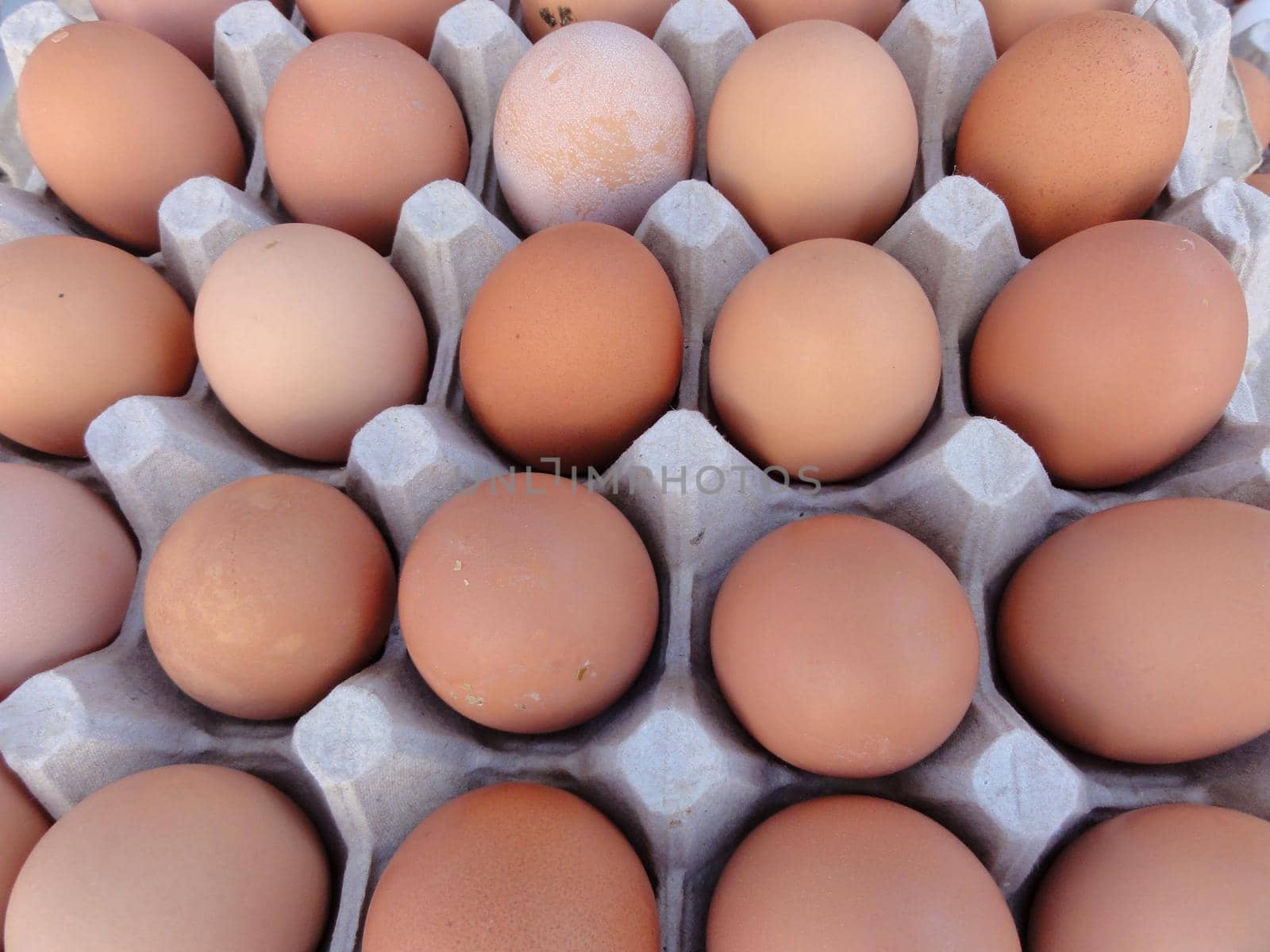 Brown eggs in large egg crate on display at a farmers market in San Francisco.