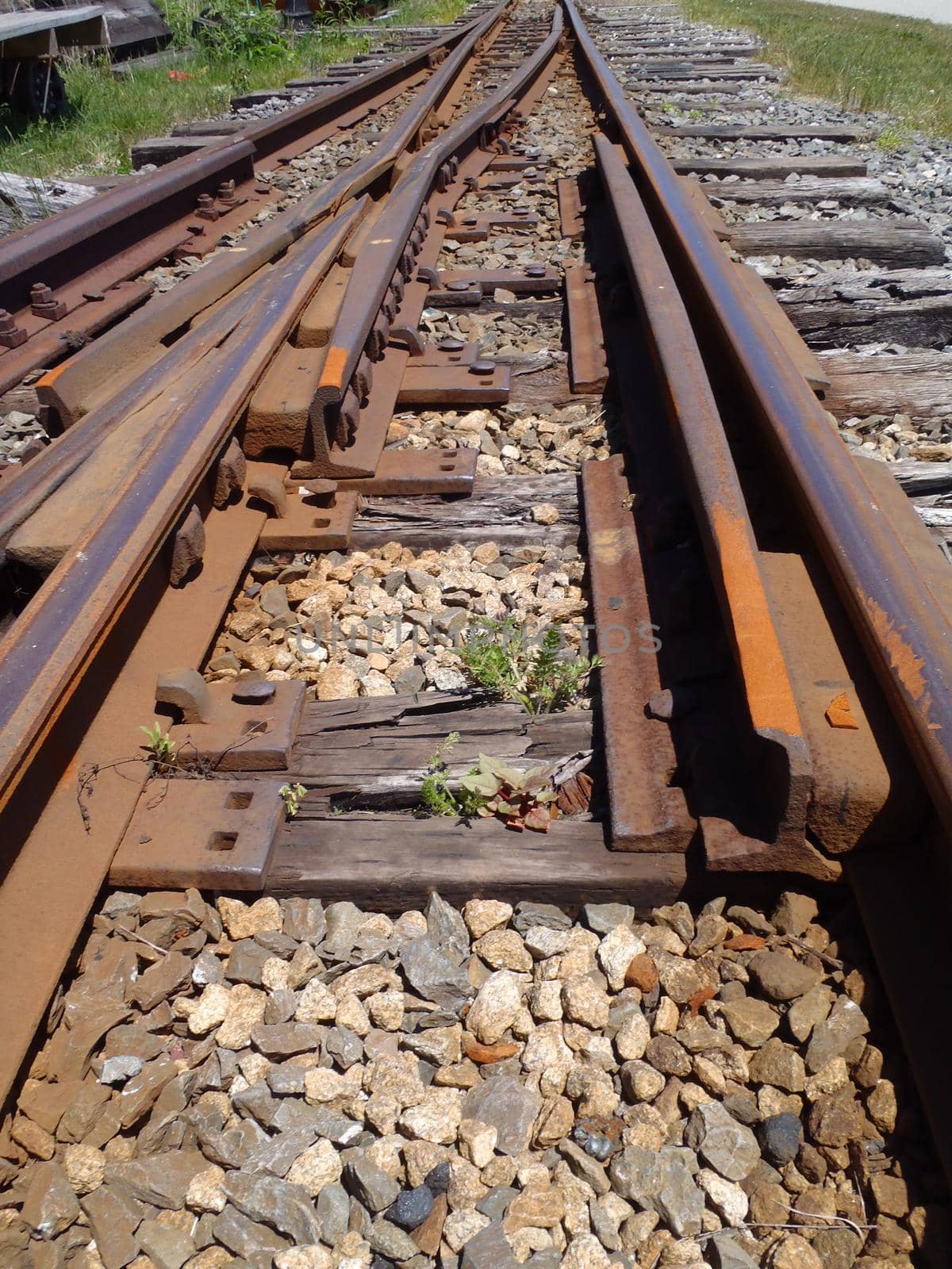 Railroad tracks running into distance with a track switch with grass growing and rocks in between tracks