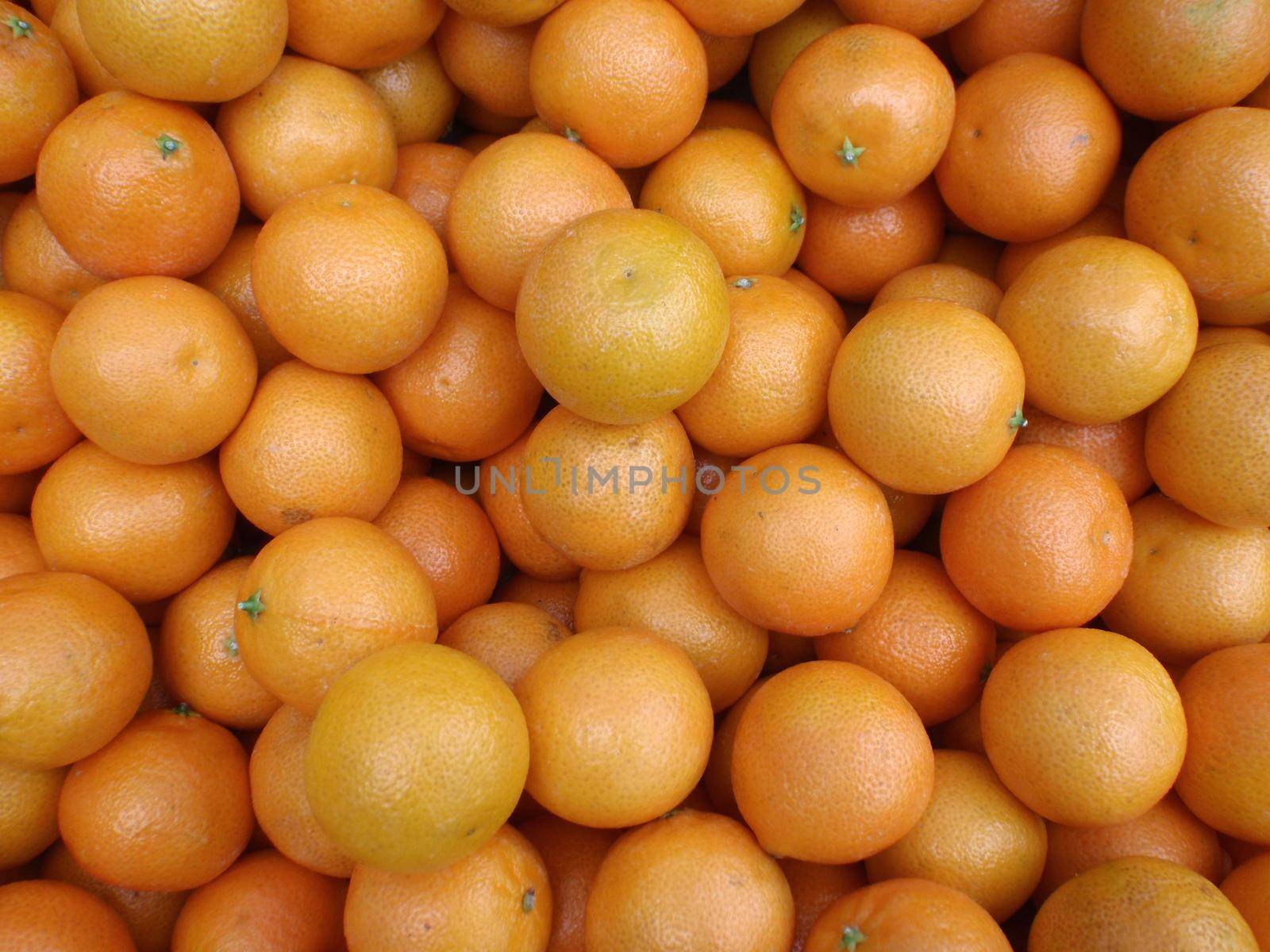 Kumquats for sale at a Farmers Market
