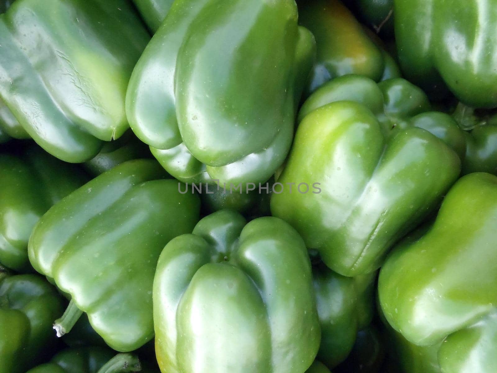 Pile of Fresh Green peppers for sale at Farmers Market in Oahu, Hawaii.