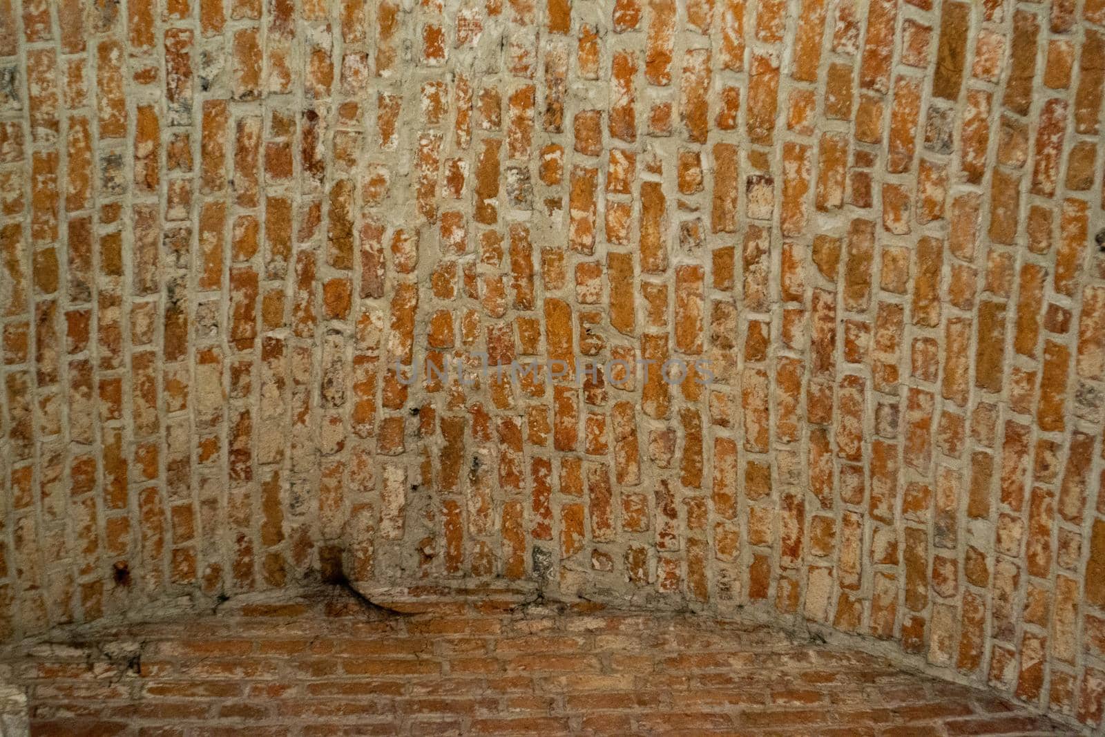 Brick wall. Multicolor texture. Can be used as background. High quality photo