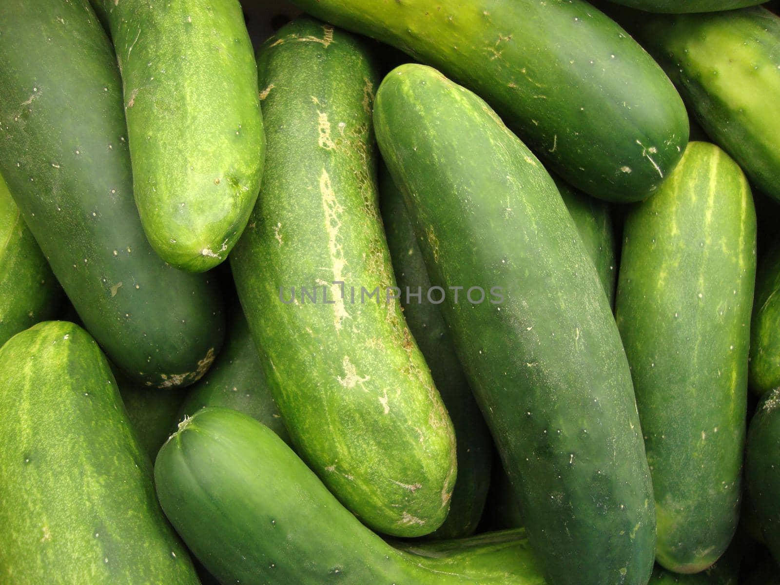 Macro of Cucumbers at Farmers Market in San Francisco.