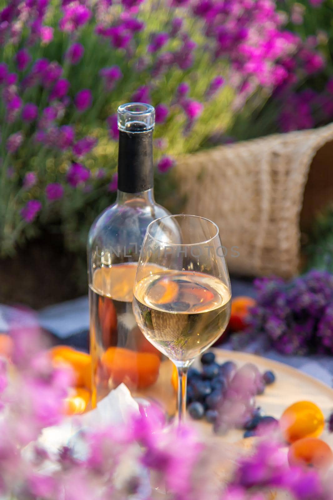 The girl is resting in a lavender field, drinking wine. Selective focus. Relaxation