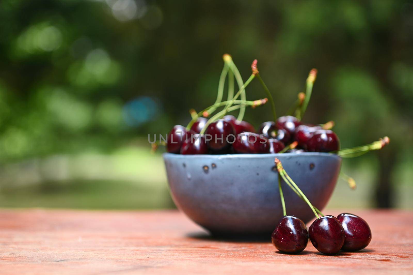 Still life composition of a pair of fresh ripe cherry berries on rustic wooden table, nearby a blue ceramic bowl full of ready-to-eat cherries against a blurred countryside nature background