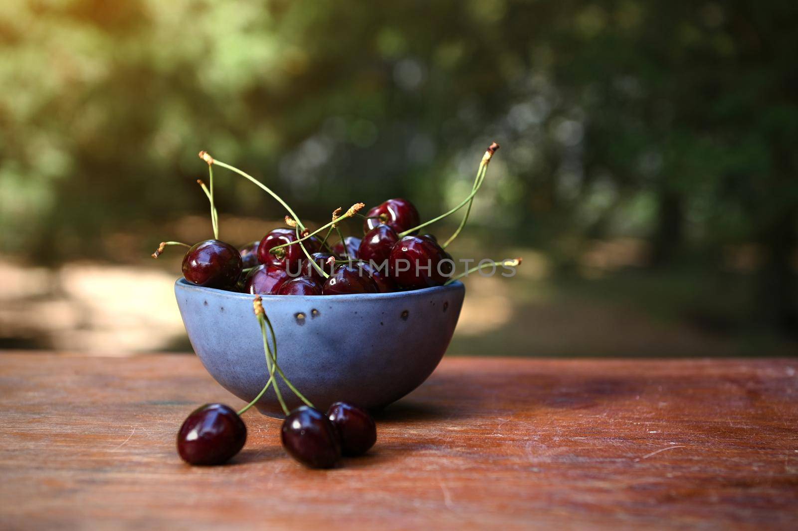 Still life composition of fresh ripe ready-to-eat purple cherries in a blue ceramic bowl on rustic wooden table against a countryside nature background. Copy ad space for advertising text