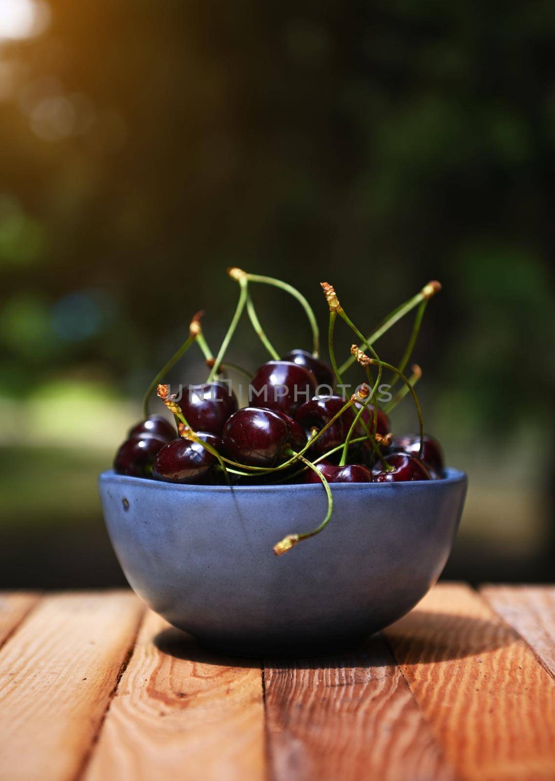 Close-up of ripe, ready-to-eat cherry berries in the blue ceramic bowl on wooden surface with a country orchard in the background. Still life, copy ad space for advertising text