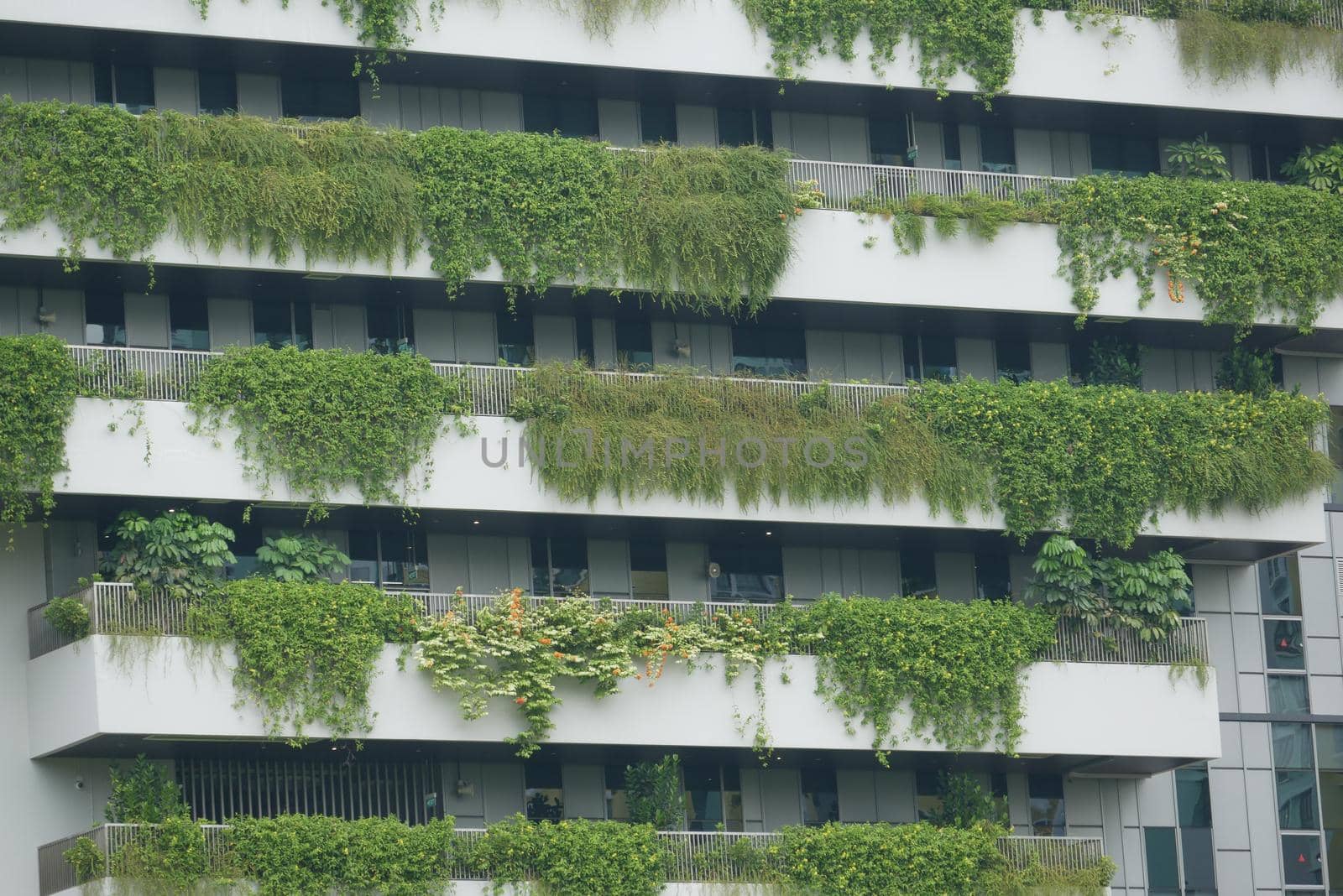 building with plants growing on the facade.