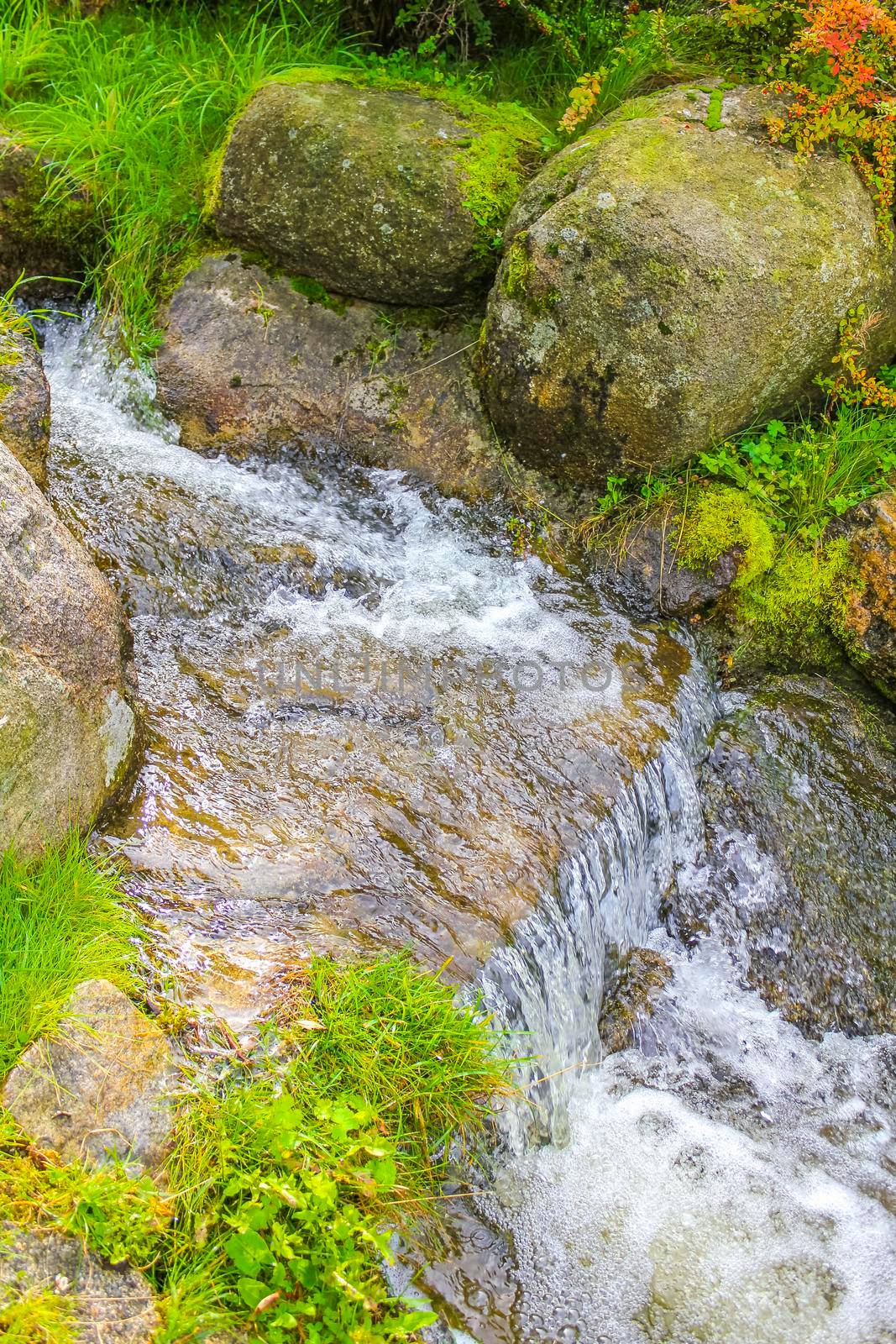 Small waterfall river and stream on Brocken mountain Harz Germany. by Arkadij