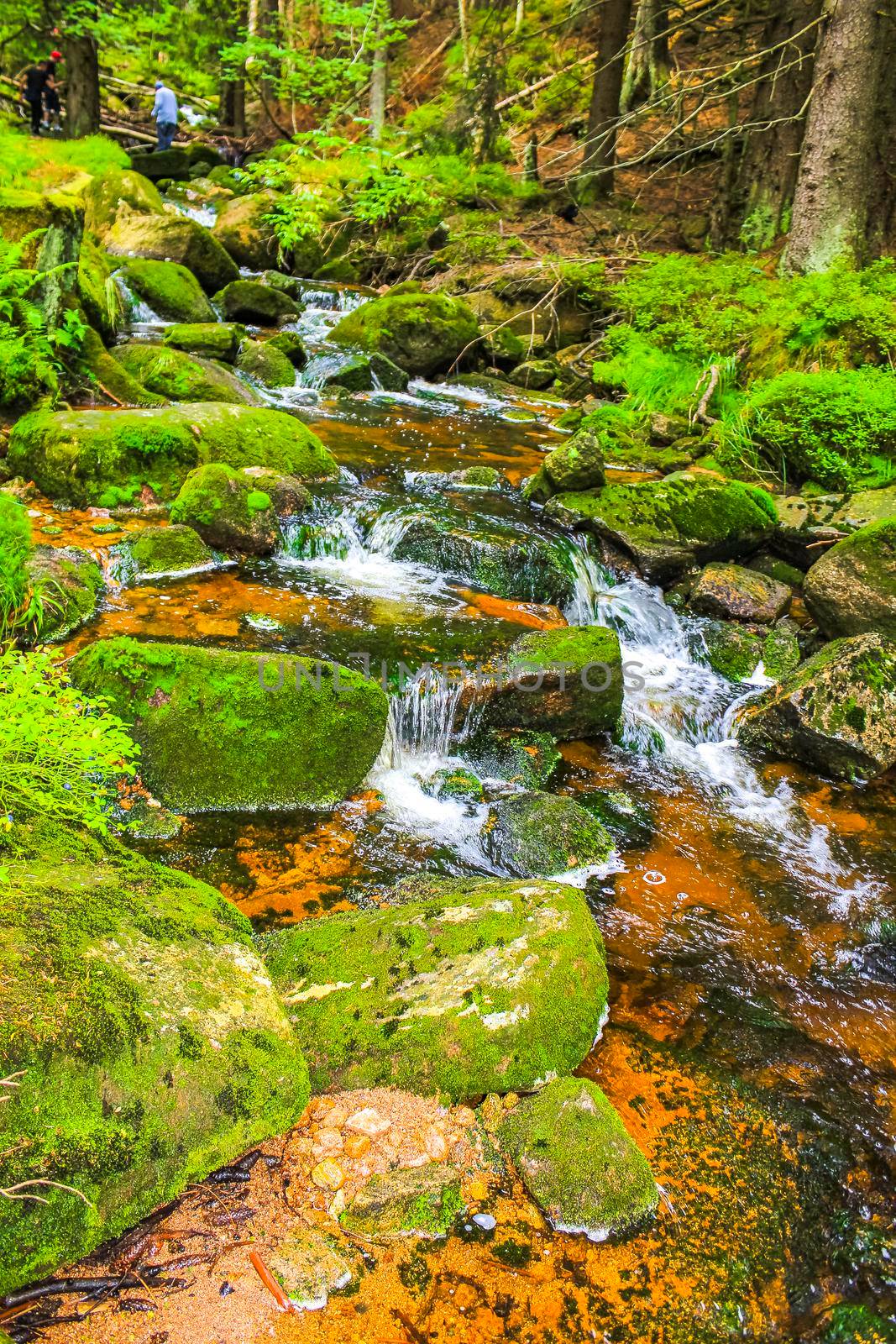 Small waterfall river and stream landscape panorama on the Brocken mountain in National Park Harz in Wernigerode Lower Saxony Germany.