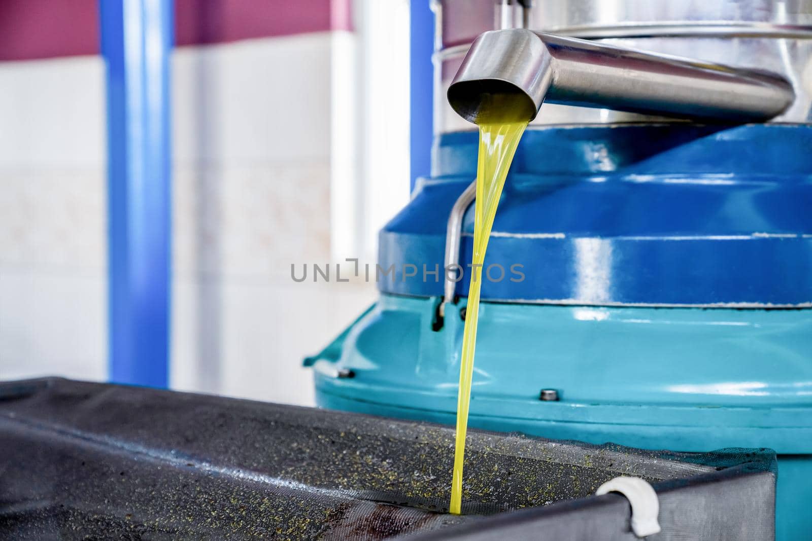 Olive oil pours from tap of spin machine. Production process of extra virgin olive oil at factory. by Laguna781