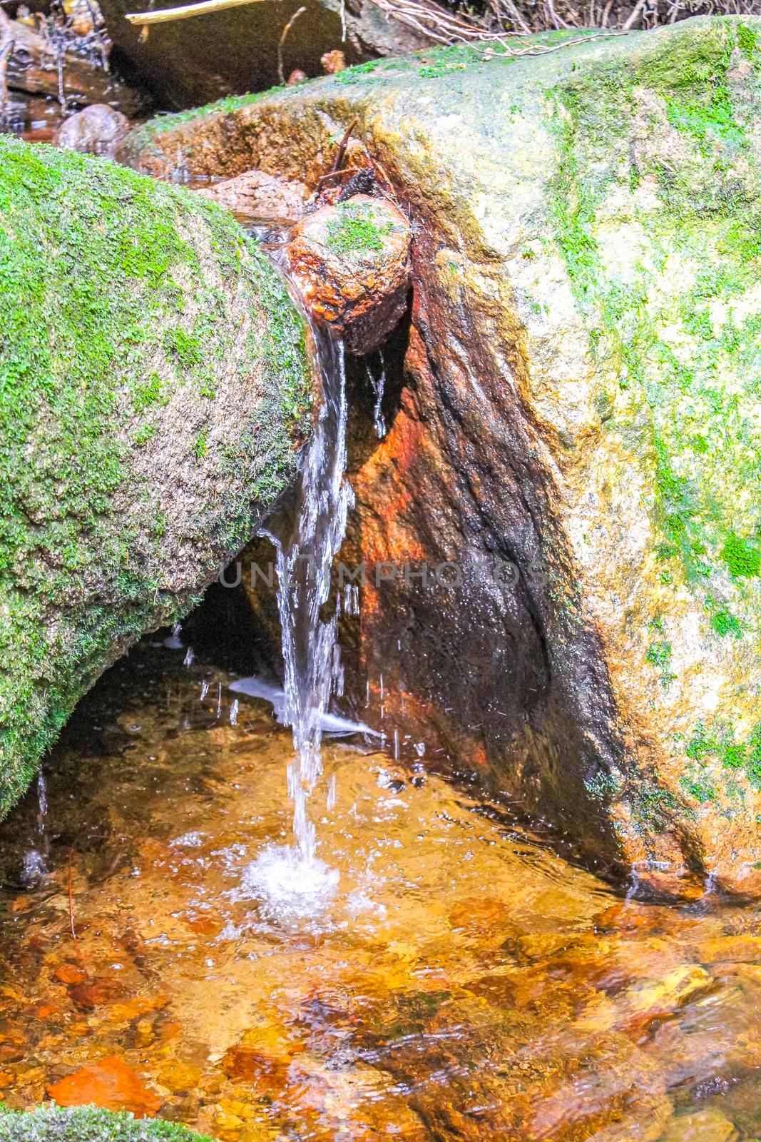 Small waterfall river and stream landscape panorama on the Brocken mountain in National Park Harz in Wernigerode Lower Saxony Germany.