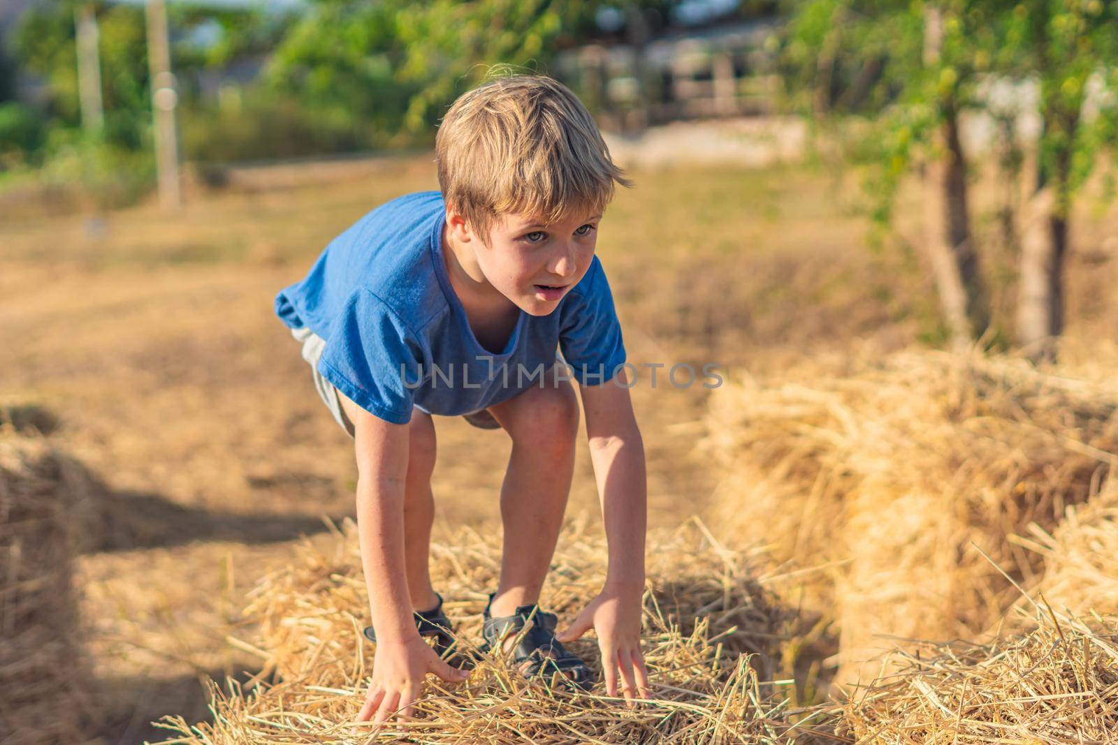 Boy blue t-shirt smile play climbs on down haystack bales of dry hay, clear sky sunny day. Outdoor kid children summer leisure activities. Concept happy childhood countryside, air close to nature.