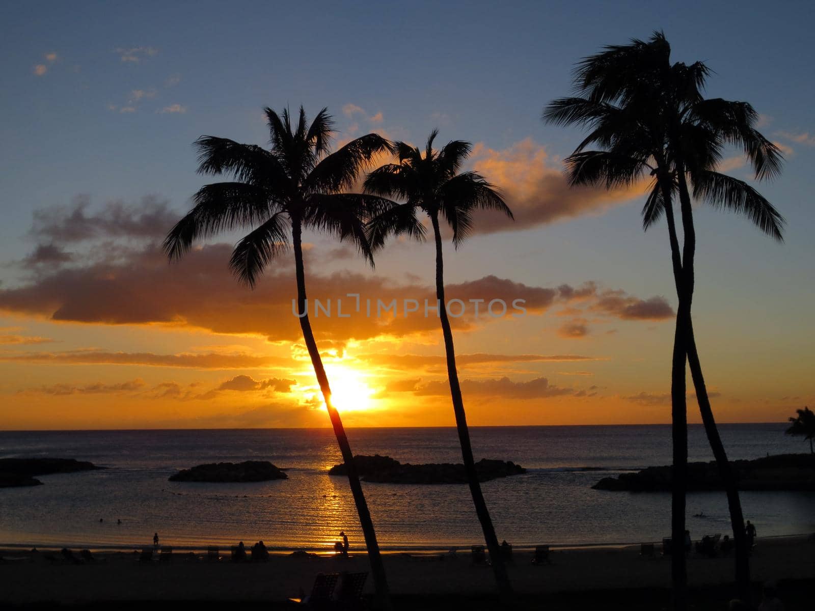 Sunsets on Ko Olina lagoon between coconut trees over the pacific ocean on the island of Oahu, Hawaii.