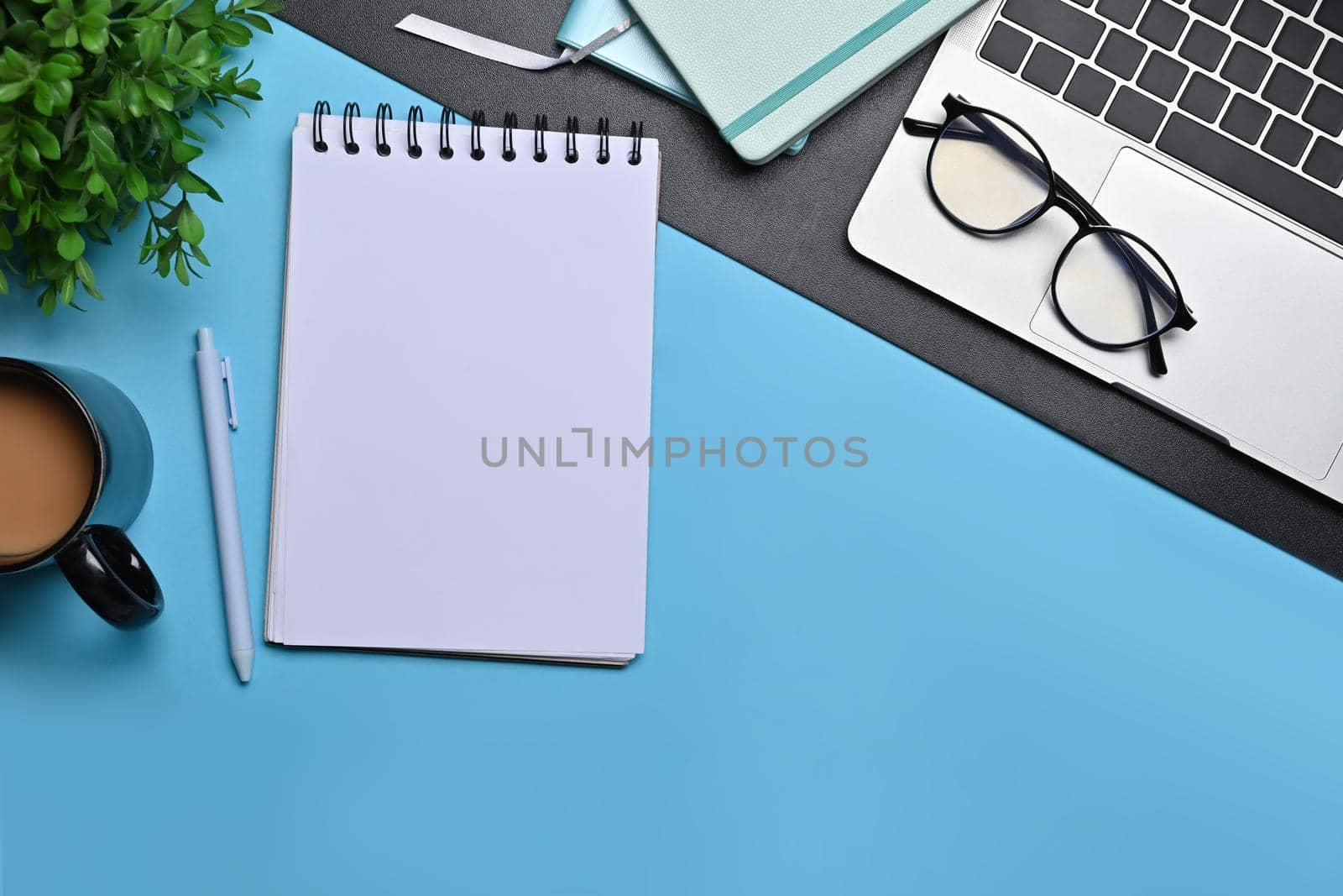 Top view notebook, laptop computer, coffee cup and houseplant on blue background. by prathanchorruangsak