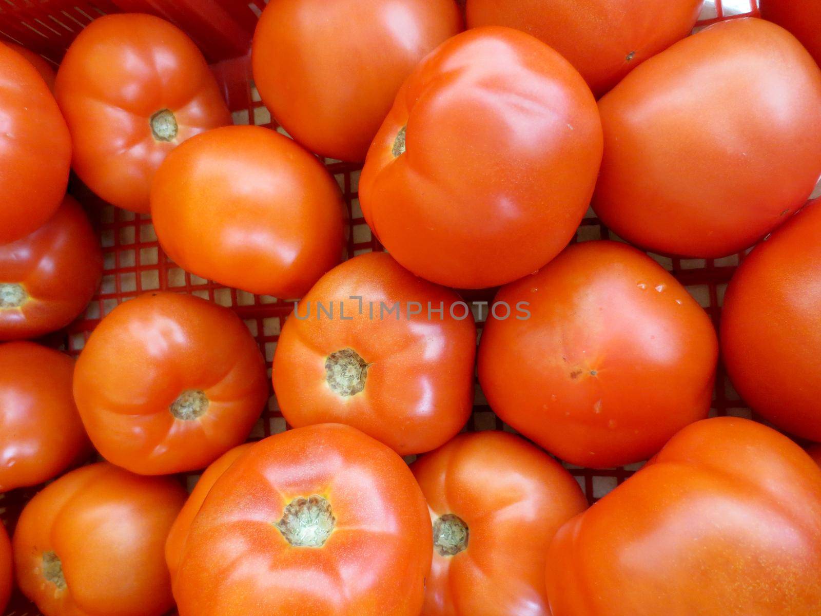 Beef Steak Tomatoes for sale at farmers market in Honolulu by EricGBVD