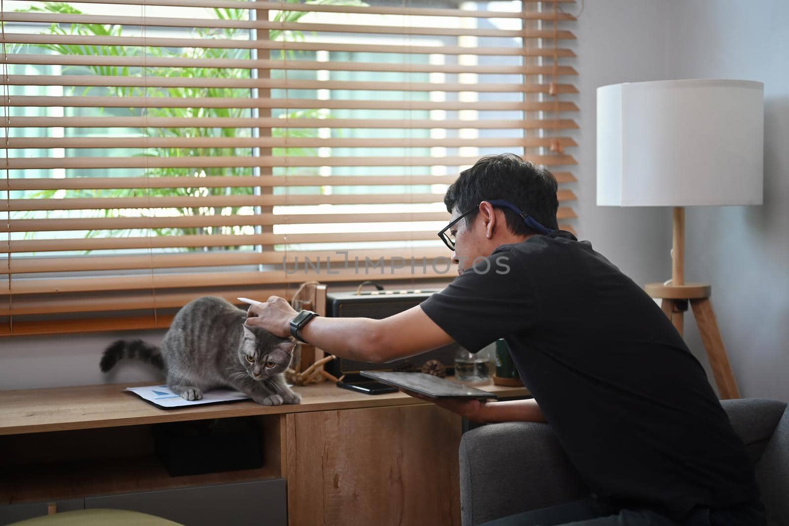 Back view of young asian man playing with his cat in living room.