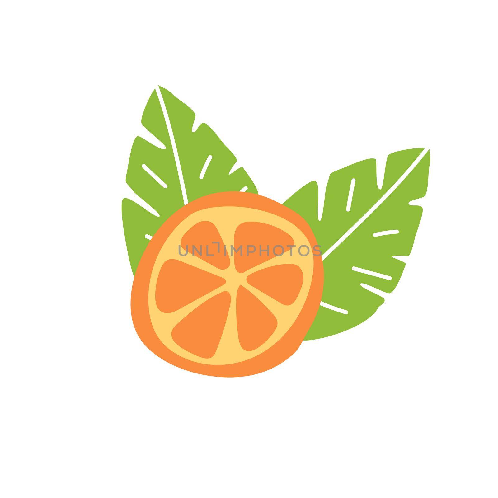 Orange fruit, slice and leaves. Doodle hand drawn vector illustration isolated on white background. Simple hand drawn icon