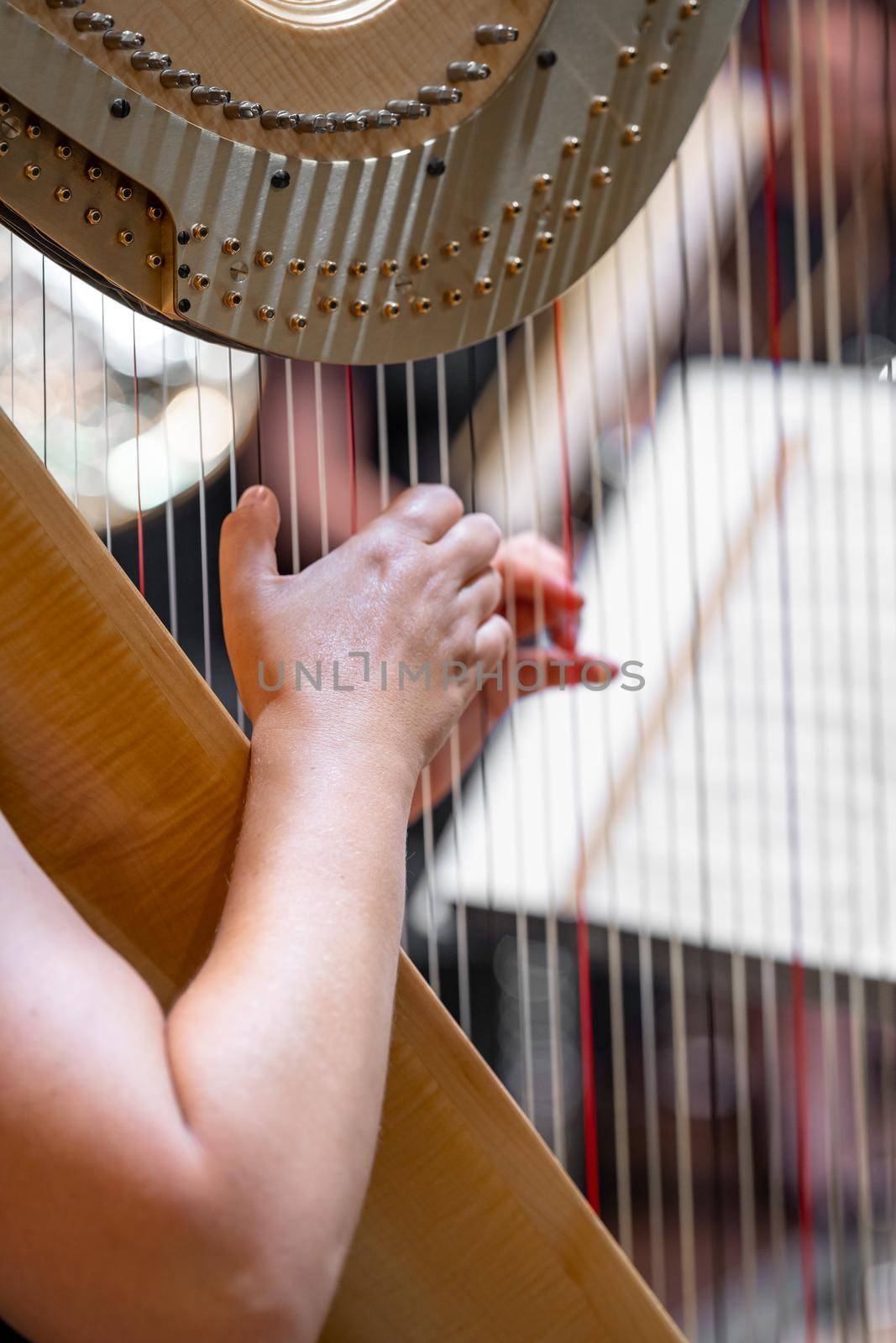 harp on symphony orchestra stage, detail of hands with strings.
