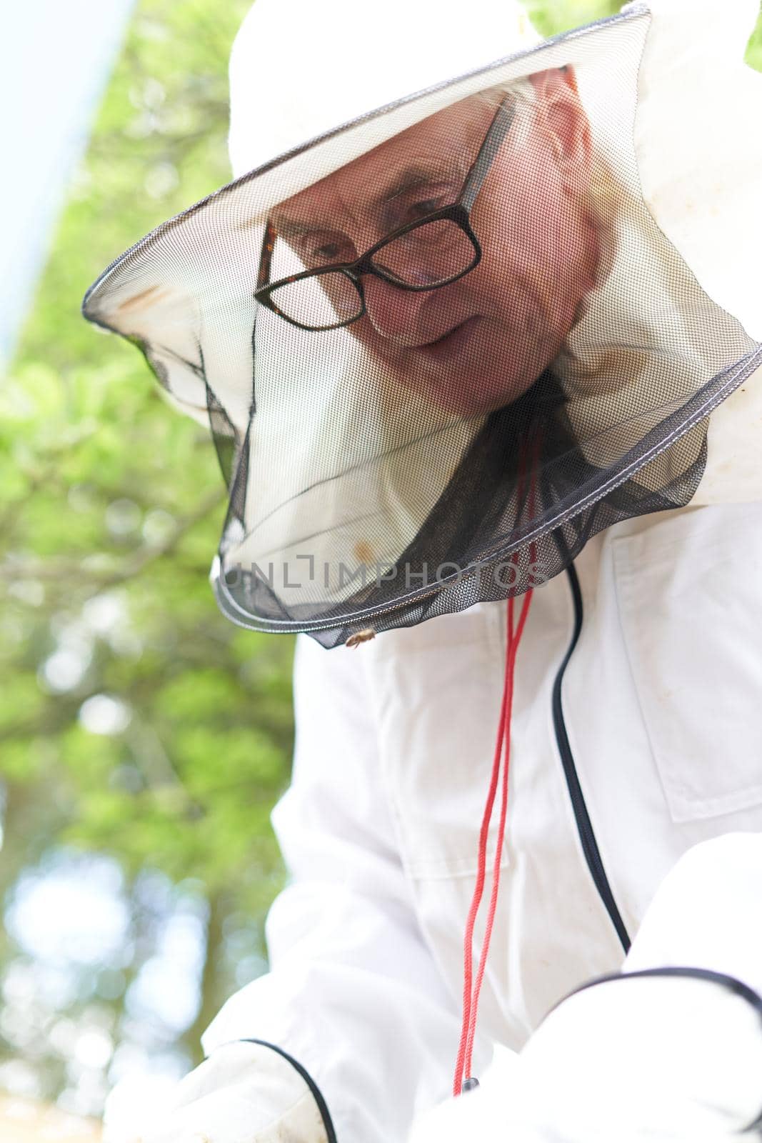 Vertical portrait of a beekeeper working with protective gear