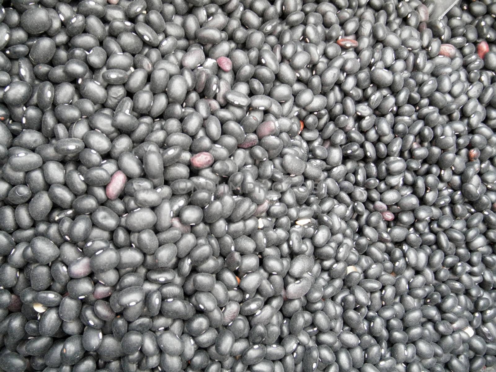 Pile of black beans for background  by EricGBVD