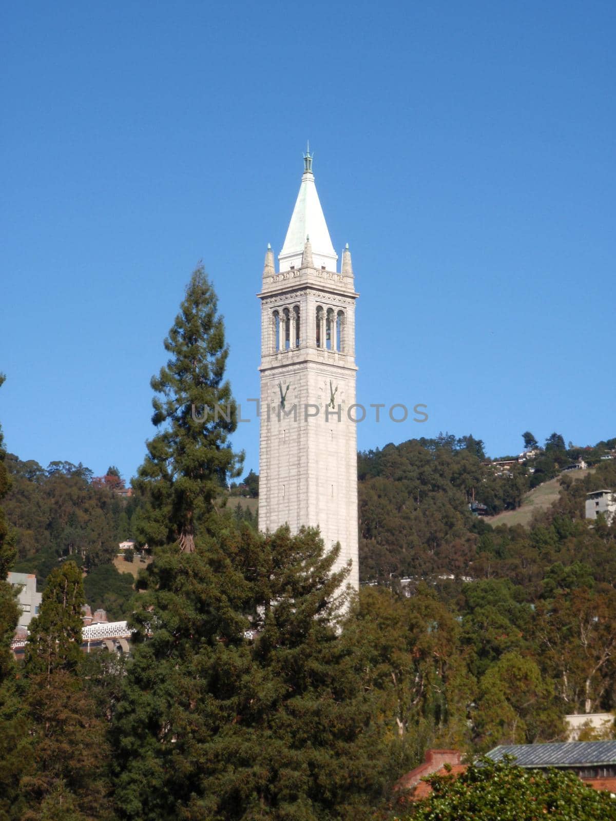 The Campanile also know as the Sather Tower raises above the trees at University of California, Berkeley