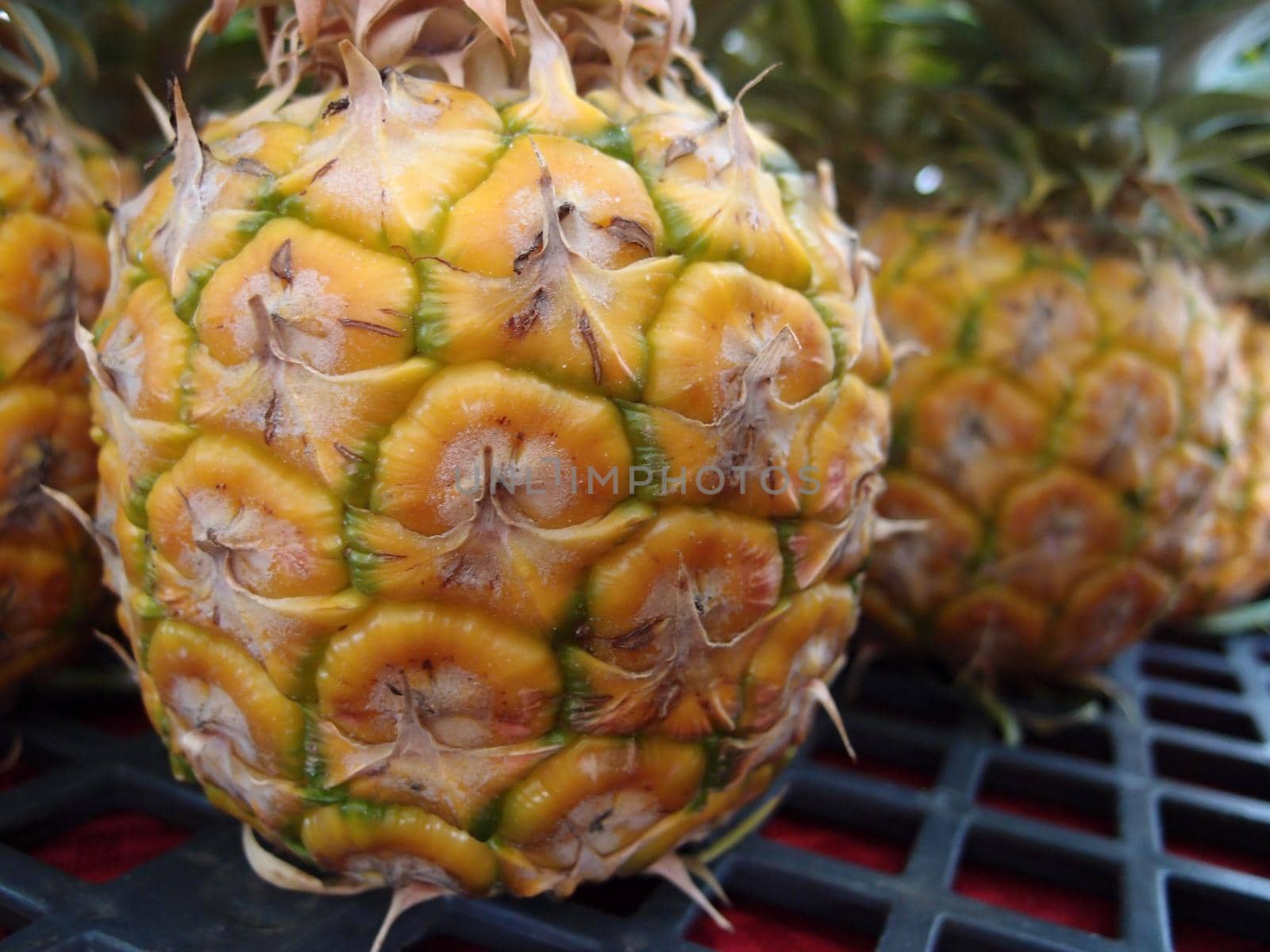 Close-up of row of mini Pineapple for sale at farmers market.
