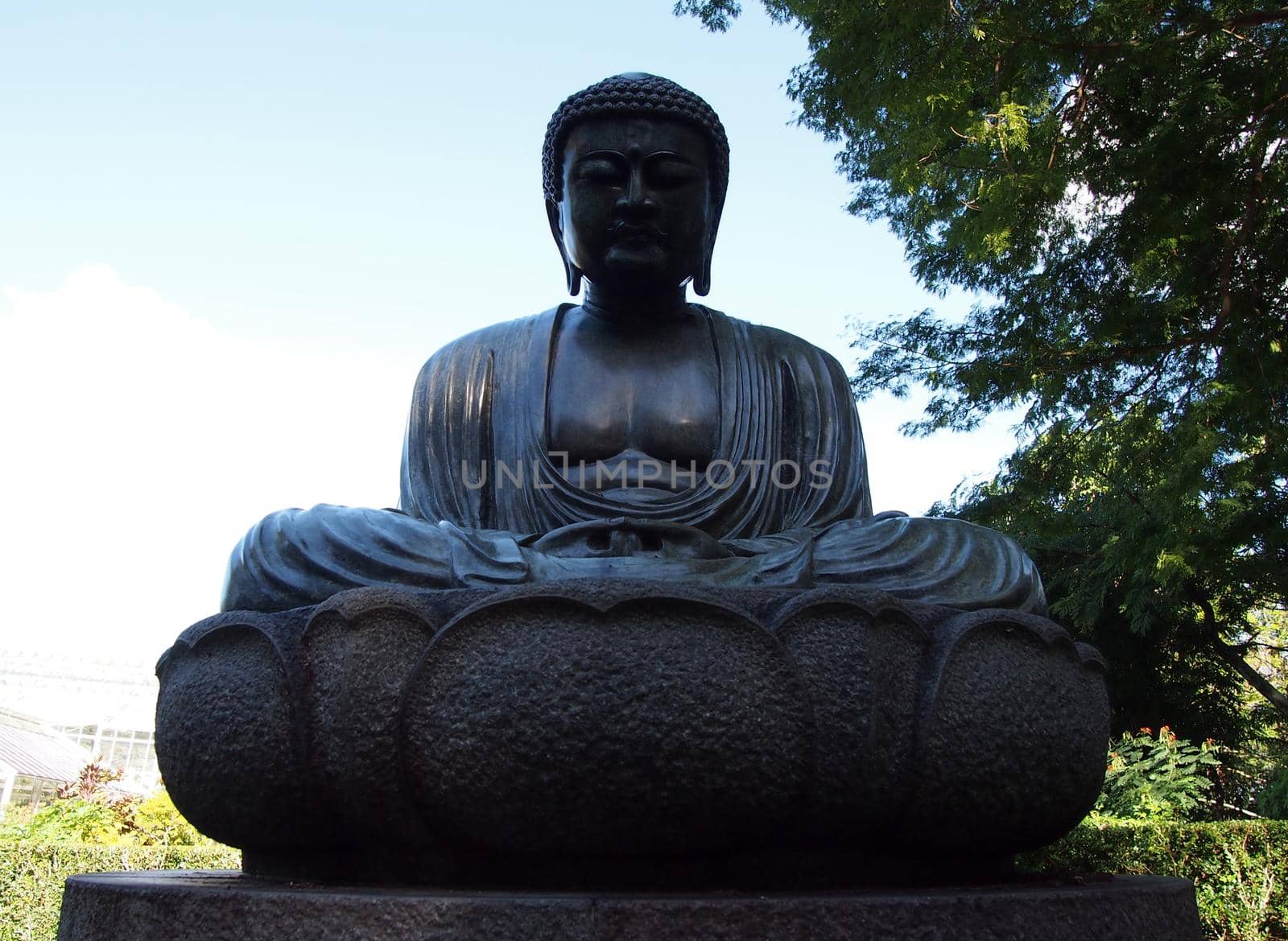 Seated Buddha Statue in Foster Botanical Garden in Honolulu on the island of Oahu in Hawaii.