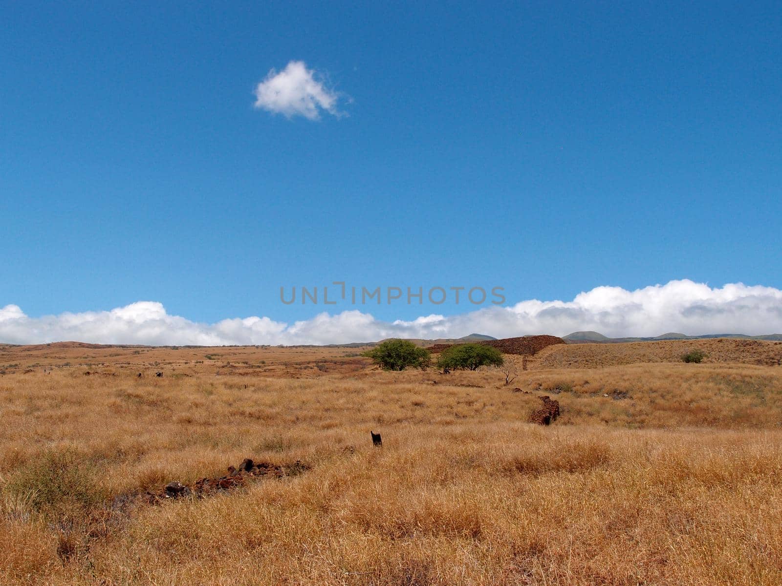 Puʻukoholā Heiau and surrounding dry grass field woth mountains in the background by EricGBVD