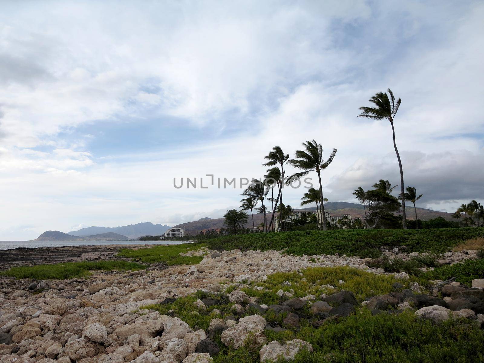 Rocky shoreline at Ko Olina with tall coconut trees and hotels in the distance on Oahu, Hawaii.   