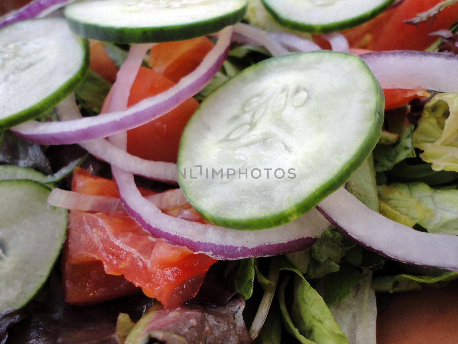 Close-up of Classic Garden Salad featuring Cucumbers, onions, tomatoes, and lettuce.