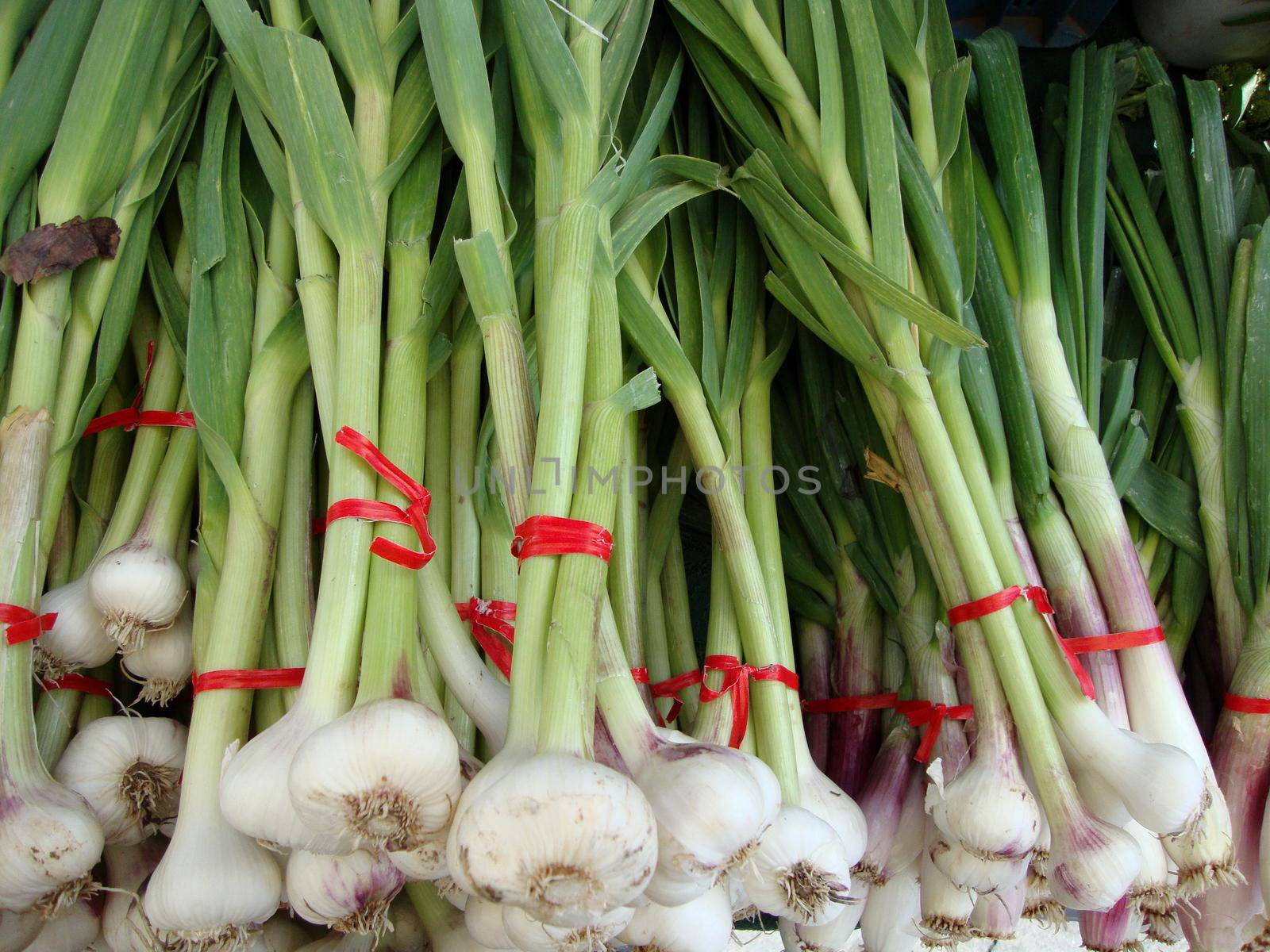 Close-up of Green onion for sale at farmers market in San Francisco, California.