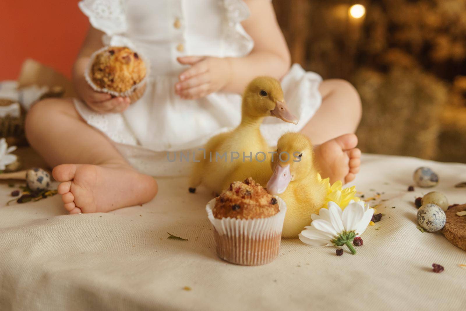 Cute fluffy ducklings on the Easter table with quail eggs and Easter cupcakes, next to a little girl. The concept of a happy Easter.