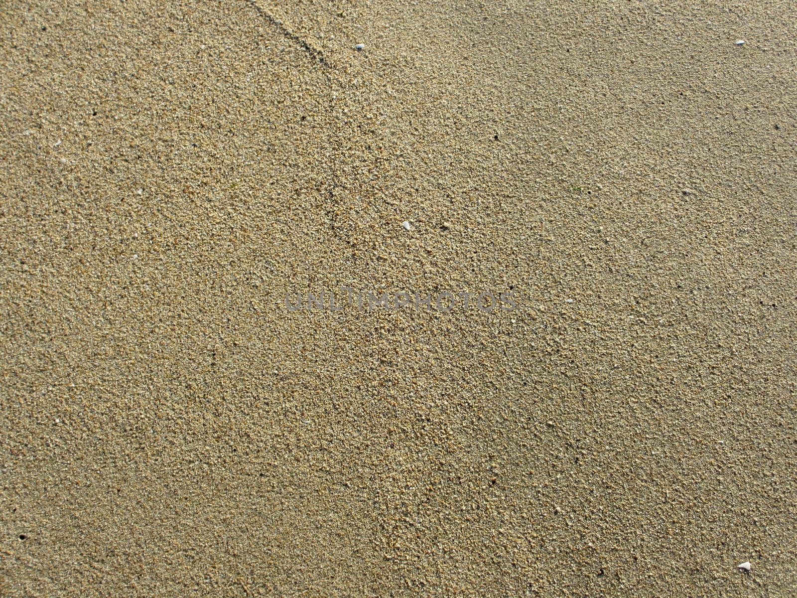 Beach Sand in Half Moon Bay by EricGBVD